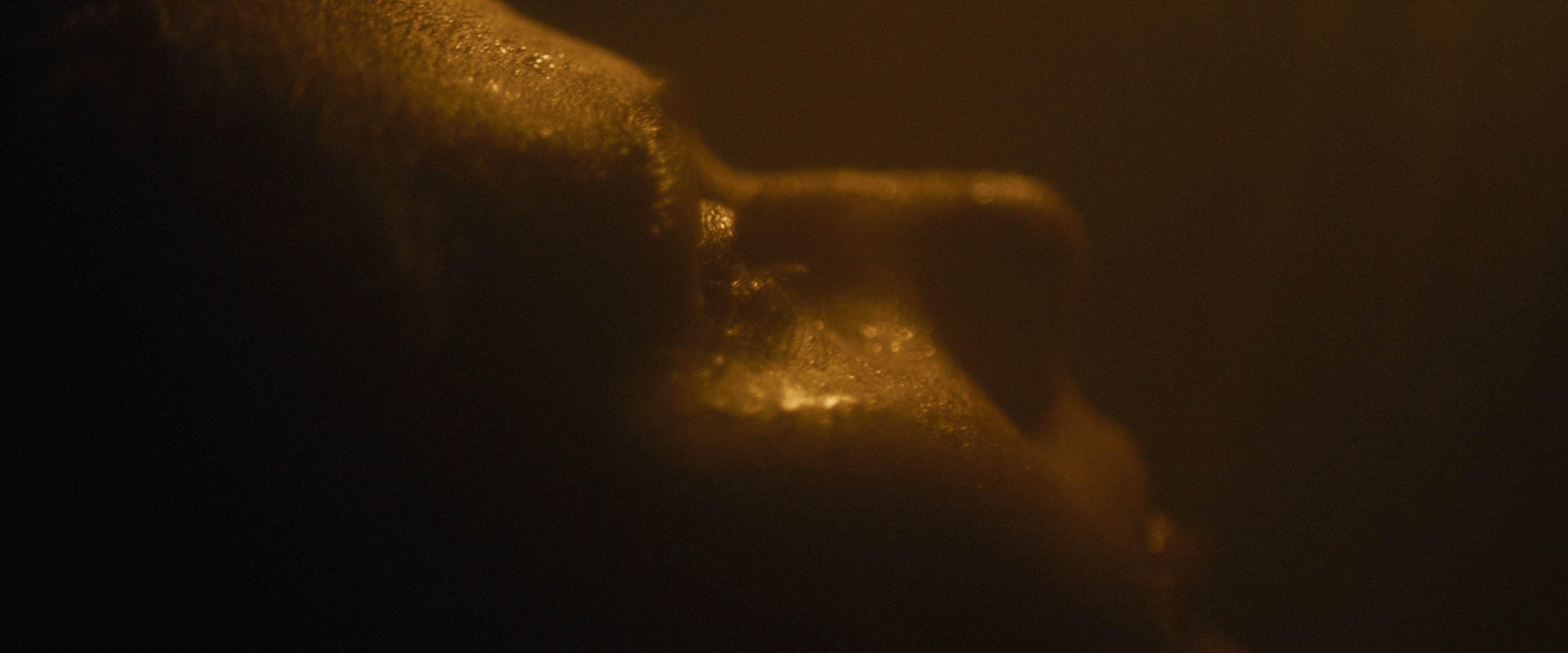 Projet Eclipse - Plan 11